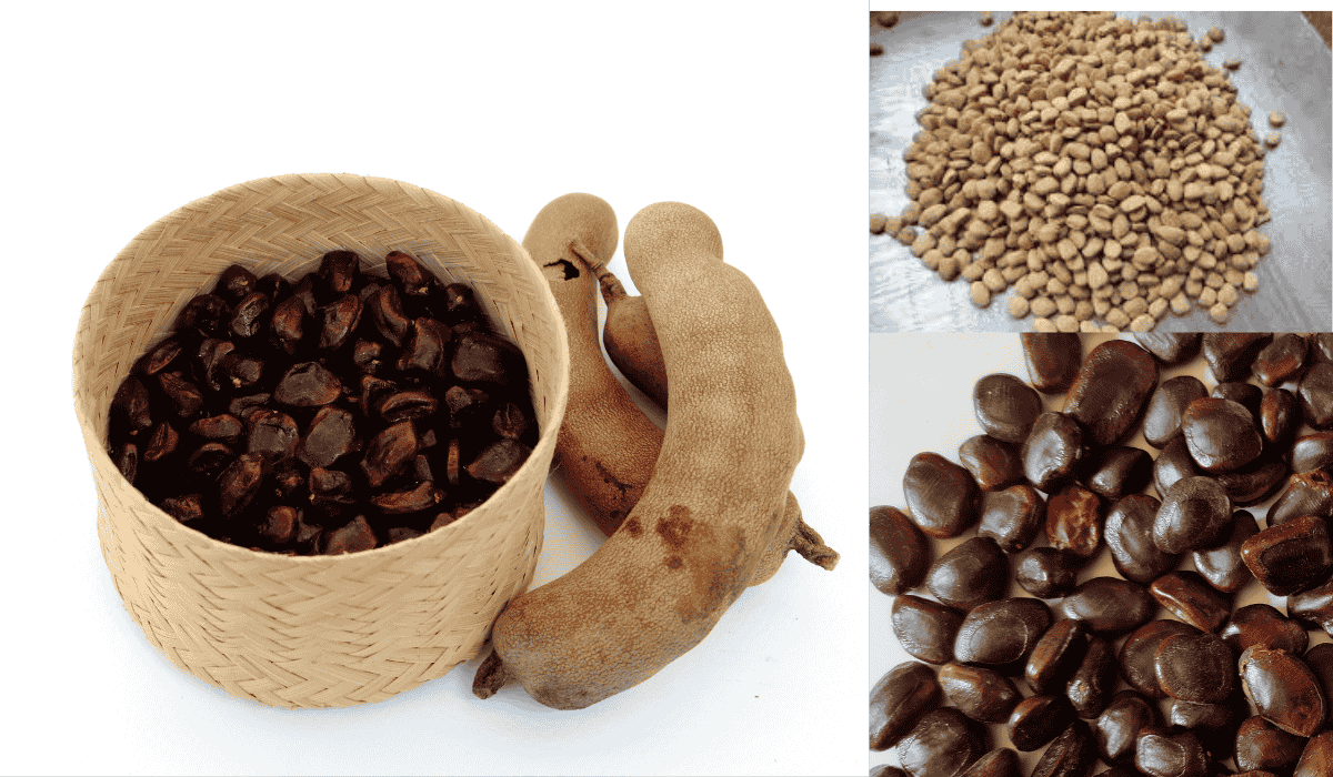 tamarind seeds
