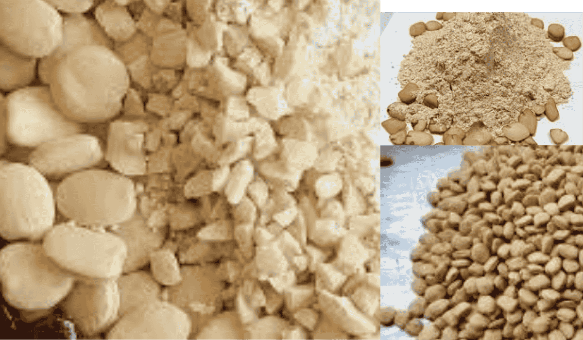 tamarindkernalpowder